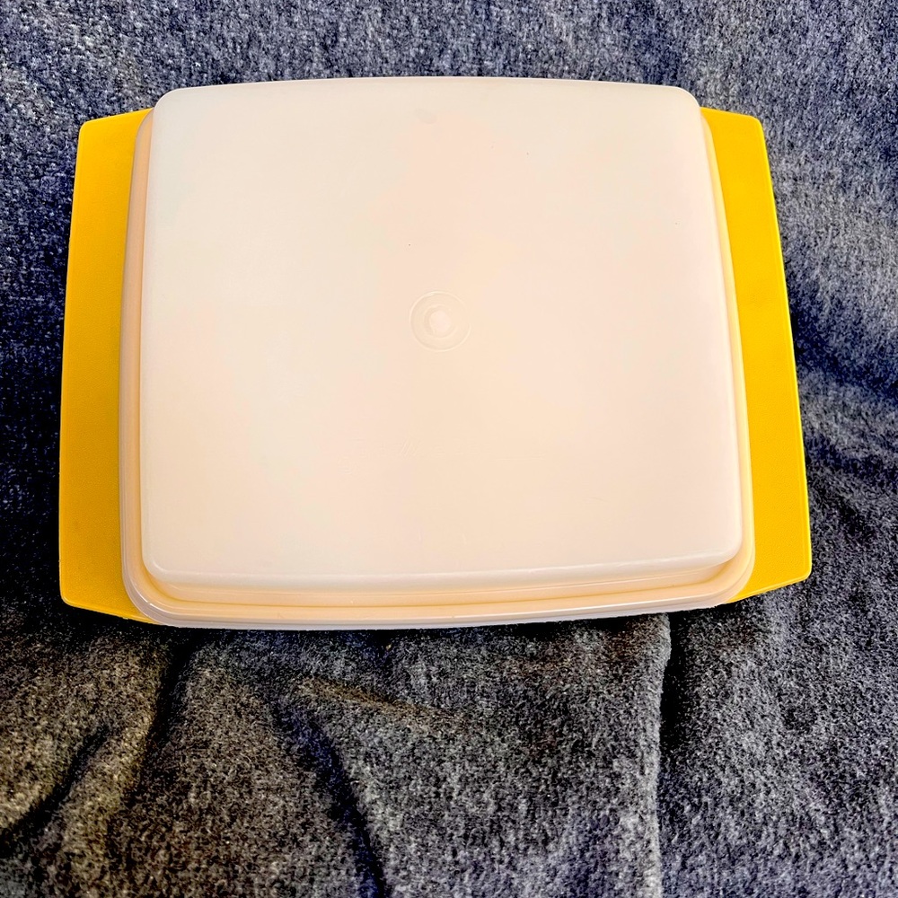 Vintage Tupperware Divided Egg Carrier